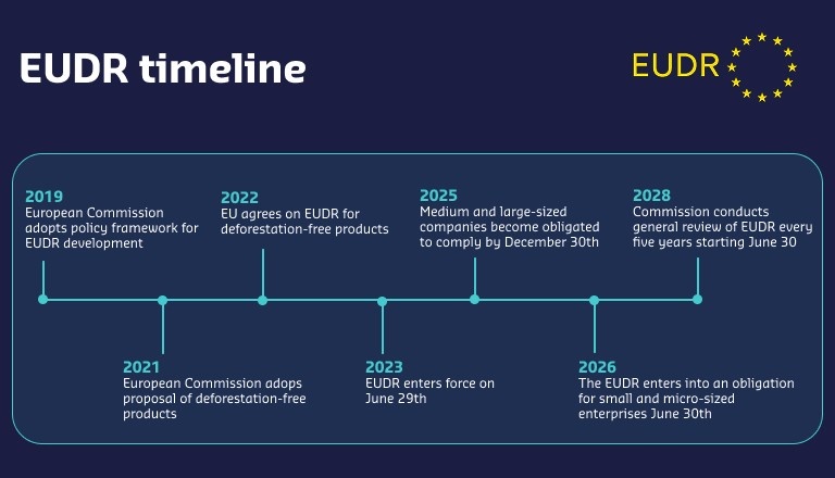 EUDR timeline
